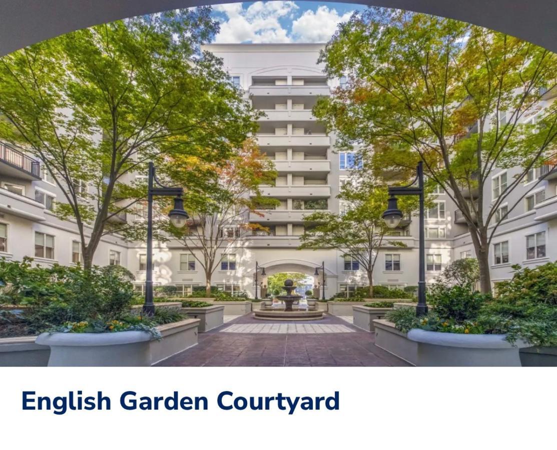 שרלוט Spacious 2 Bed, 2 Bath Uptown Gem In The Heart Of The City-Parking-Wi-Fi-Balcony Cgv מראה חיצוני תמונה